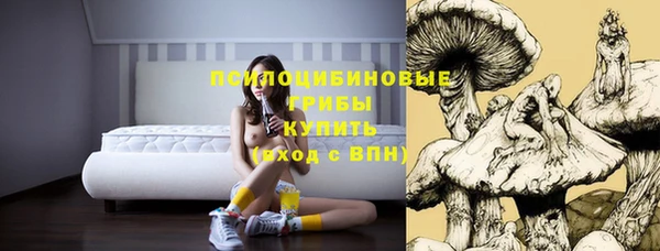 стаф Алексеевка